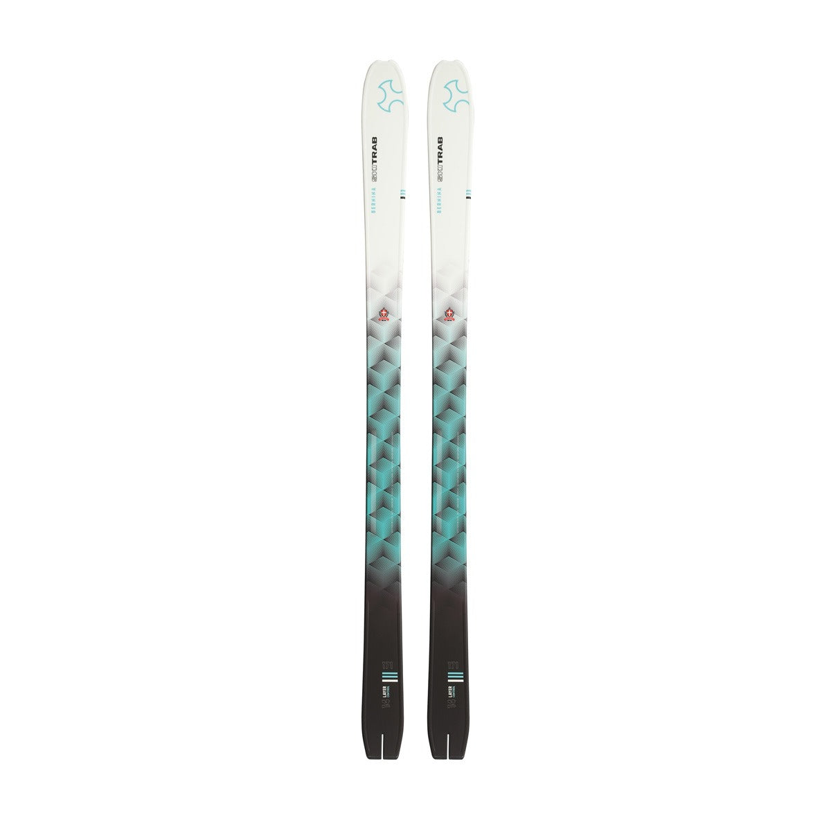 SKI TRAB SCI Bernina 85
