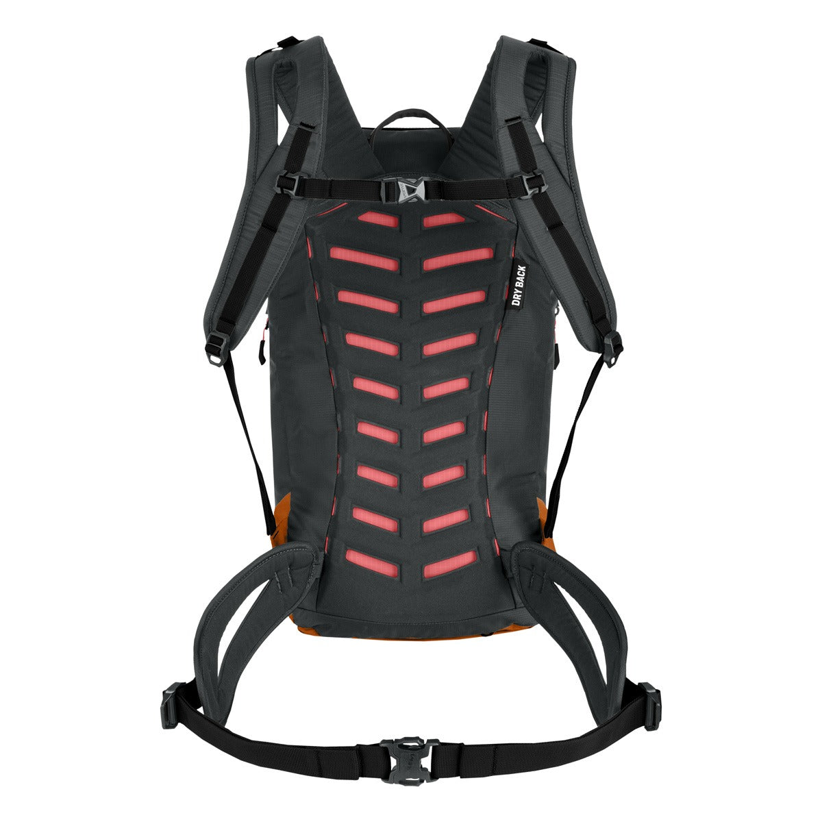 SALEWA Puez 25L Zaino