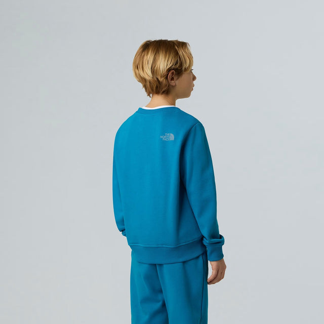 THE NORTH FACE Felpa Reflective Logo Relaxed da Ragazzo