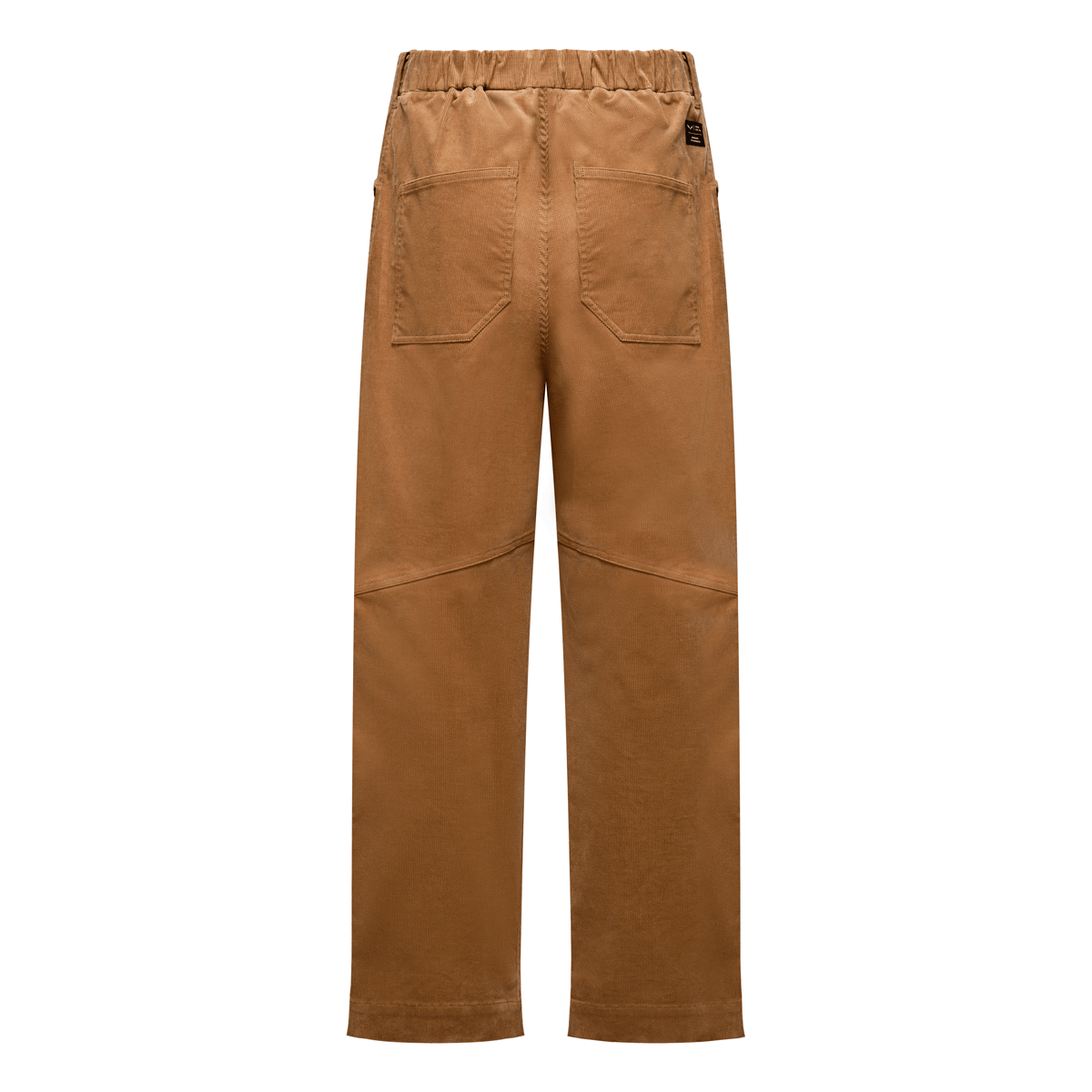 Salewa Fanes Cord Men's Pants