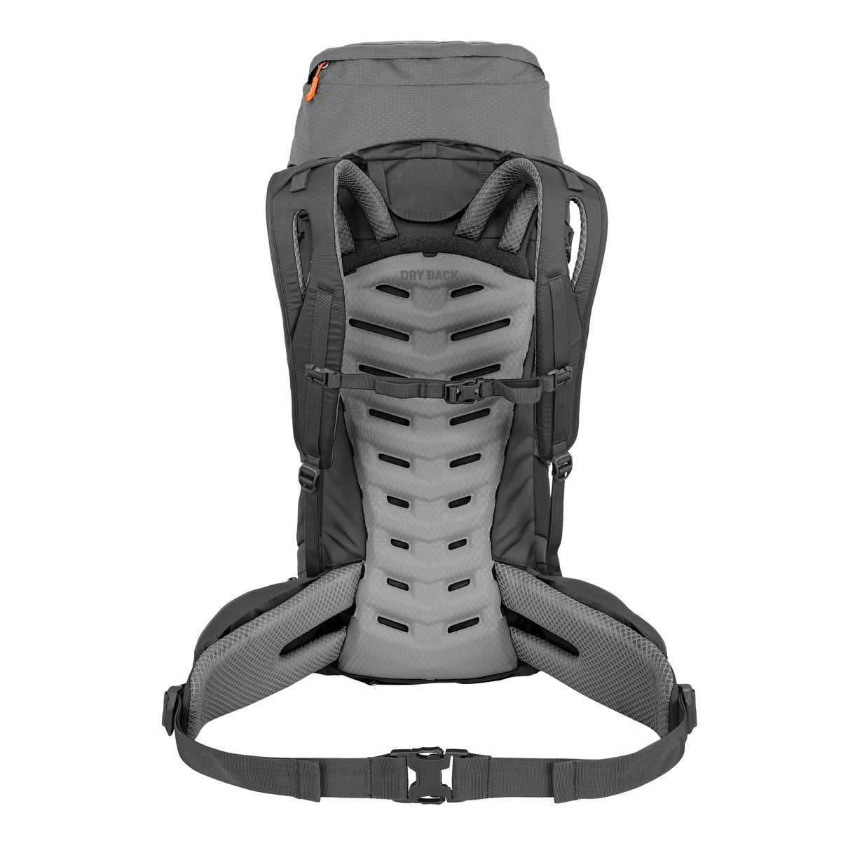 SALEWA Alptrek 42+5l Backpack