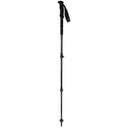 CAMP Backcountry PRO 2.0 - Bastoncino