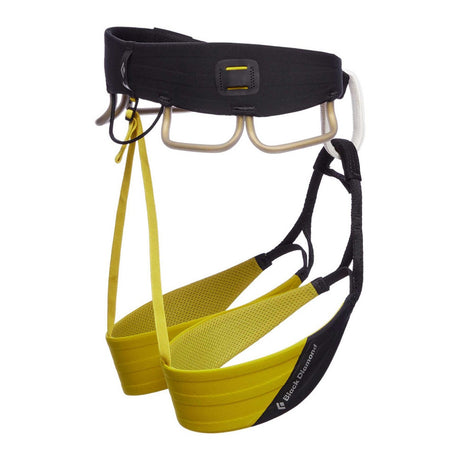 BLACK DIAMOND Men's Zone Harness