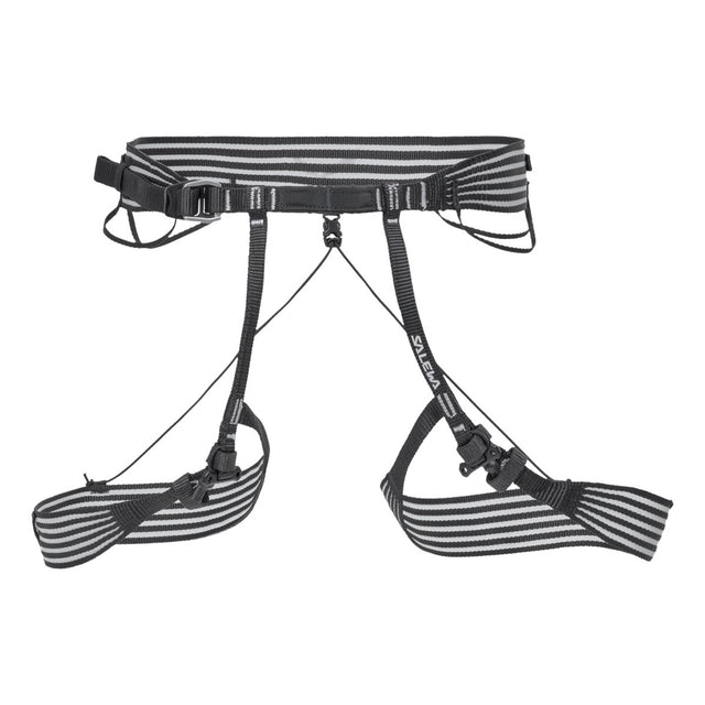 SALEWA NXT Light Harness
