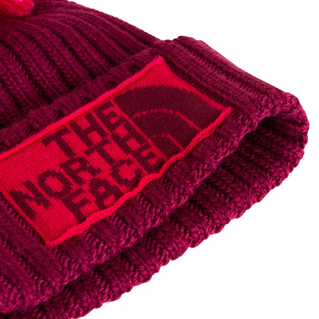 THE NORTH FACE Ski Tuke Heritage Beanie
