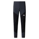 THE NORTH FACE M Felik Slim Tapered Pant