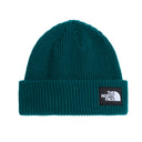 THE NORTH FACE Berretto Salty Lined