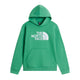 The North Face Essential Drew Peak Felpa con Cappuccio Ragazzi – Dimmed Algae, dettaglio 1