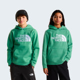 The North Face Essential Drew Peak Felpa con Cappuccio Ragazzi – Dimmed Algae, vista frontale