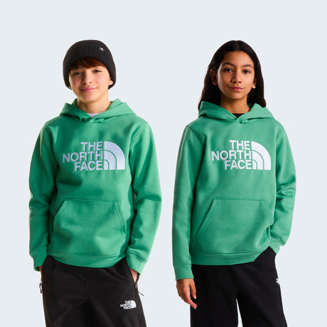 The North Face Essential Drew Peak Felpa con Cappuccio Ragazzi – Dimmed Algae, vista frontale