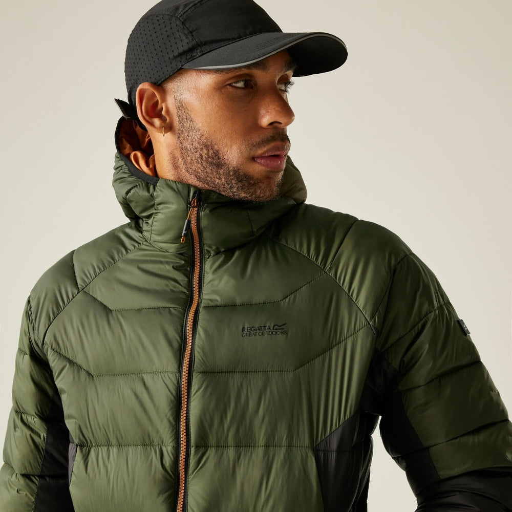 REGATTA Men's Hooded Dalent Padded Jacket