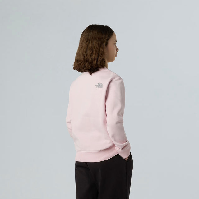 THE NORTH FACE Felpa Reflective Logo Relaxed da Ragazza