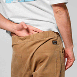 Salewa Fanes Cord Men's Pants
