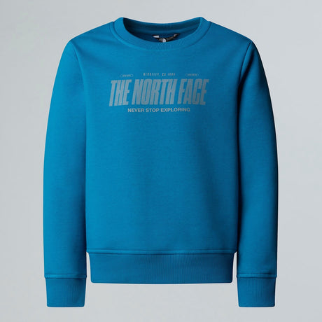 THE NORTH FACE Felpa Reflective Logo Relaxed da Ragazzo