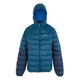 REGATTA Men's Hooded Dalent Padded Jacket
