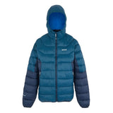 REGATTA Men's Hooded Dalent Padded Jacket