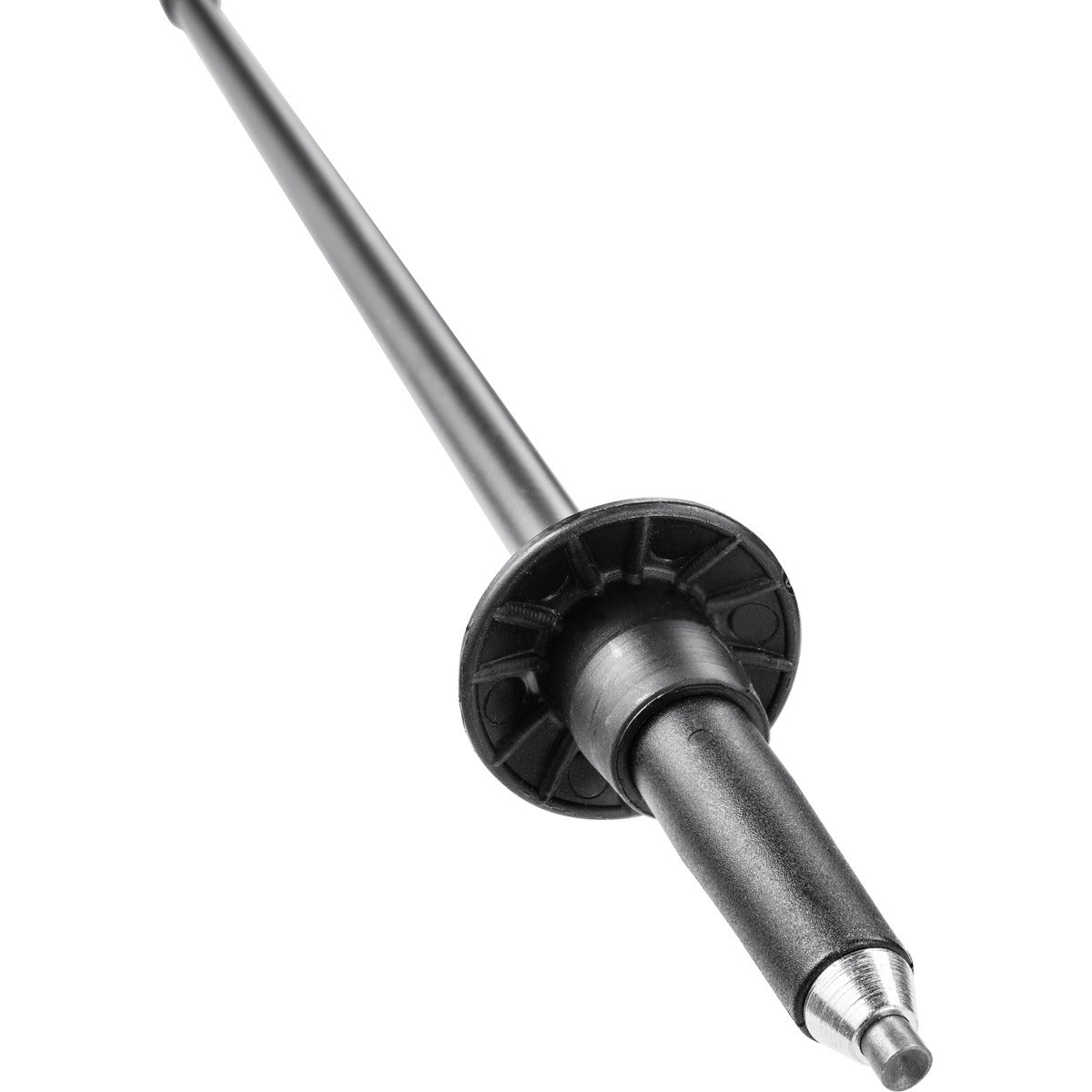 LEKI Spin Pole