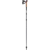 LEKI Spin Pole