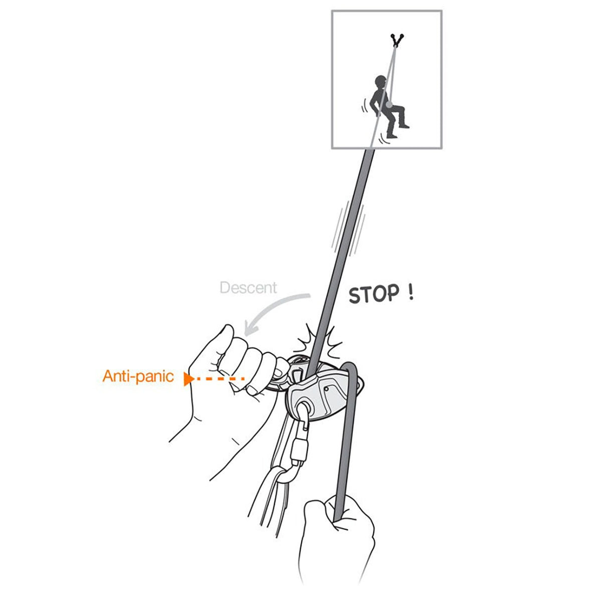 PETZL Grigri® + Green