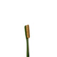 E9 Sticky Brush