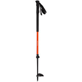 Camp SKI DROP - Bastoncino