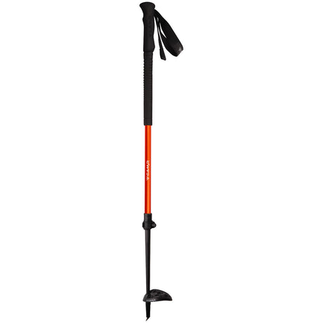 Camp SKI DROP - Bastoncino