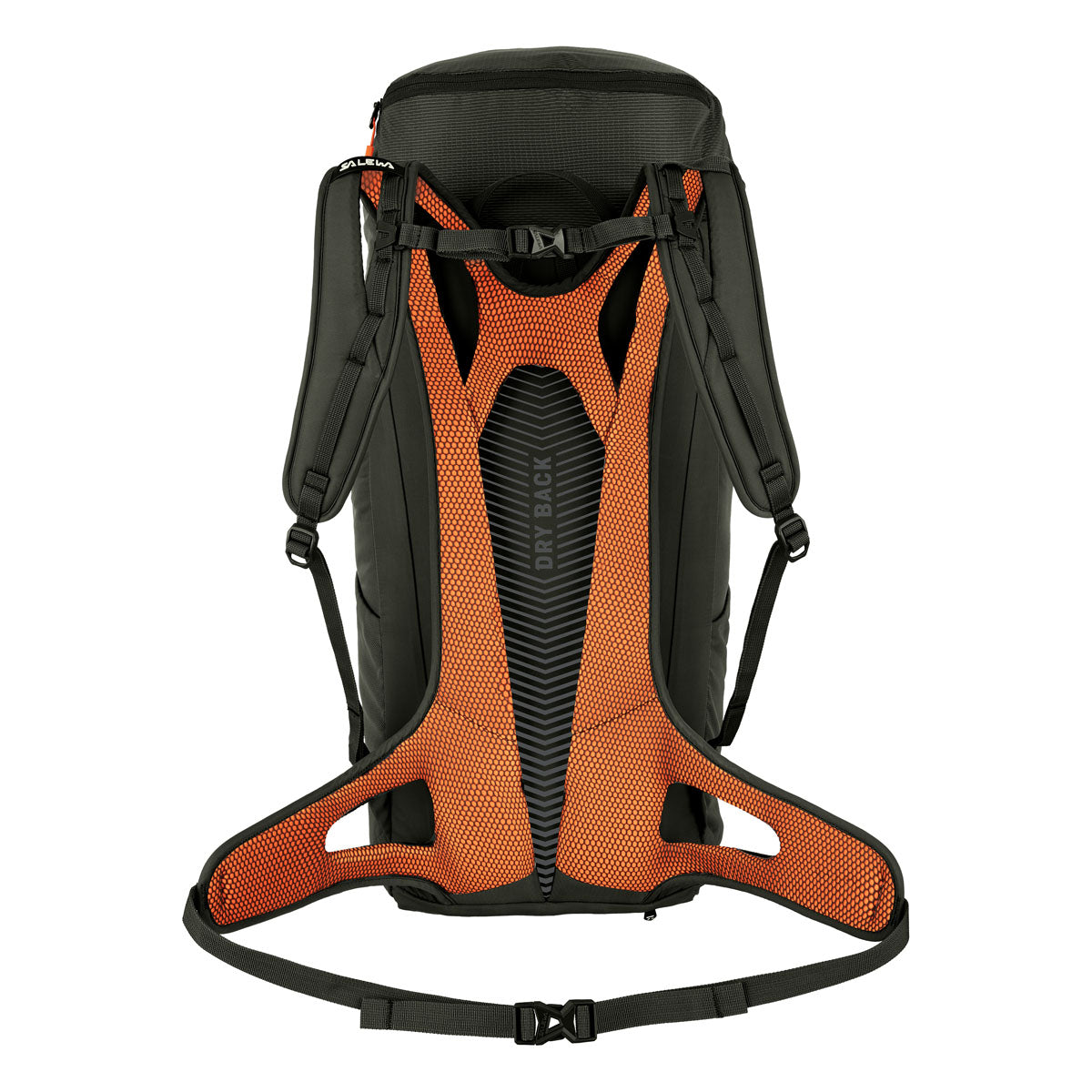 Salewa ALP Mate 36L Zaino - immagine 7
