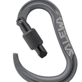 SALEWA Ortles HMS Moschettone M