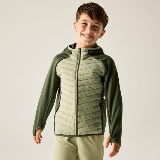 REGATTA junior Andreson Hybrid Jacket